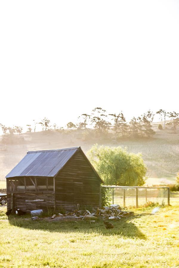 Daisy Bank Cottages 리치몬드 외부 사진