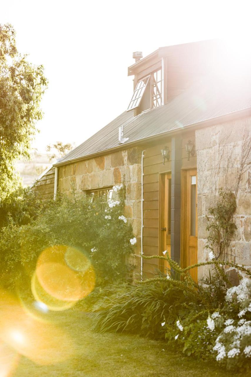Daisy Bank Cottages 리치몬드 외부 사진