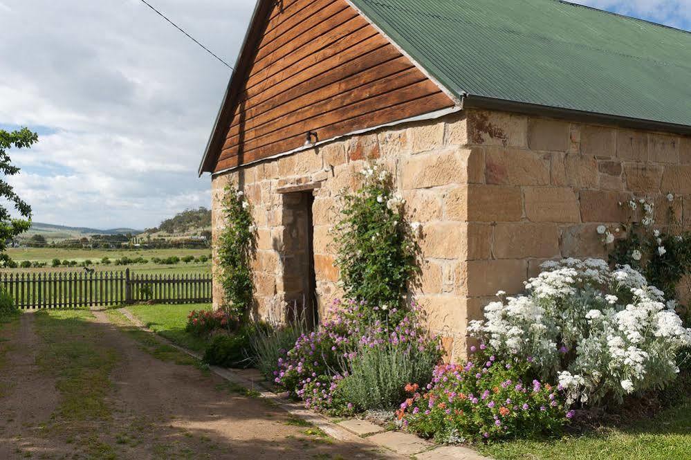 Daisy Bank Cottages 리치몬드 외부 사진